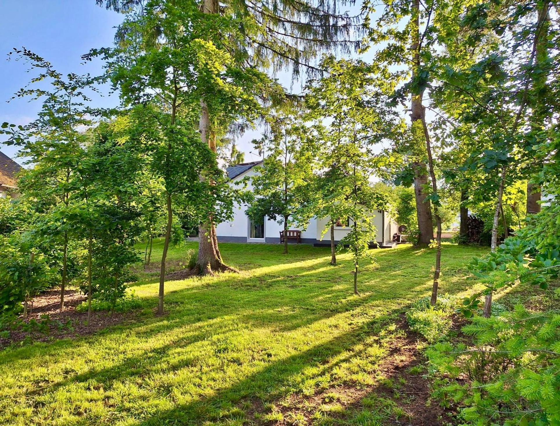 Freiraum Ferienhaus Hellenthal Zewnętrze zdjęcie